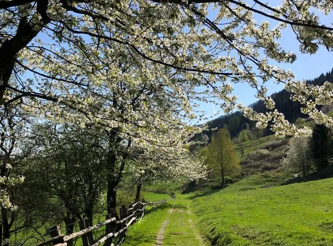 Panzió Leonhard 7 Arnoldstein